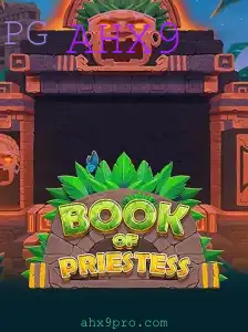 Descubra o Desafiante e Enigmático Mundo de BookOfPriestess